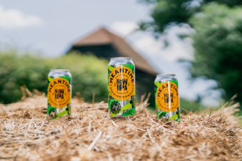 NOW IPA (Can)